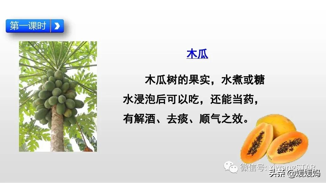一年级下册20课咕咚,小学一年级语文下册咕咚视频
