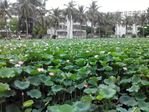 一个人在海边玩一天,一个人在海边怎么玩