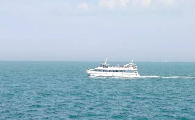 下川岛小帕劳,广东小帕劳