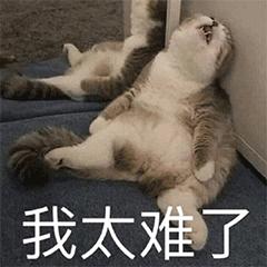 小米手机拍照开hdr和ai哪个清楚,小米手机拍照怎么设置成raw格式