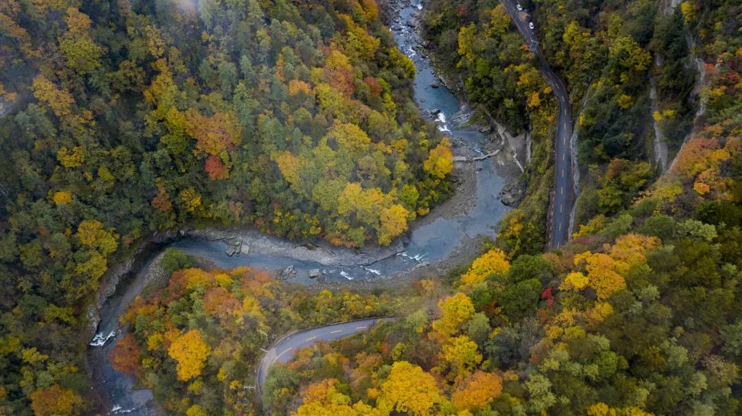 陕西汉中黎坪森林公园红叶,陕西人赏红叶好去处