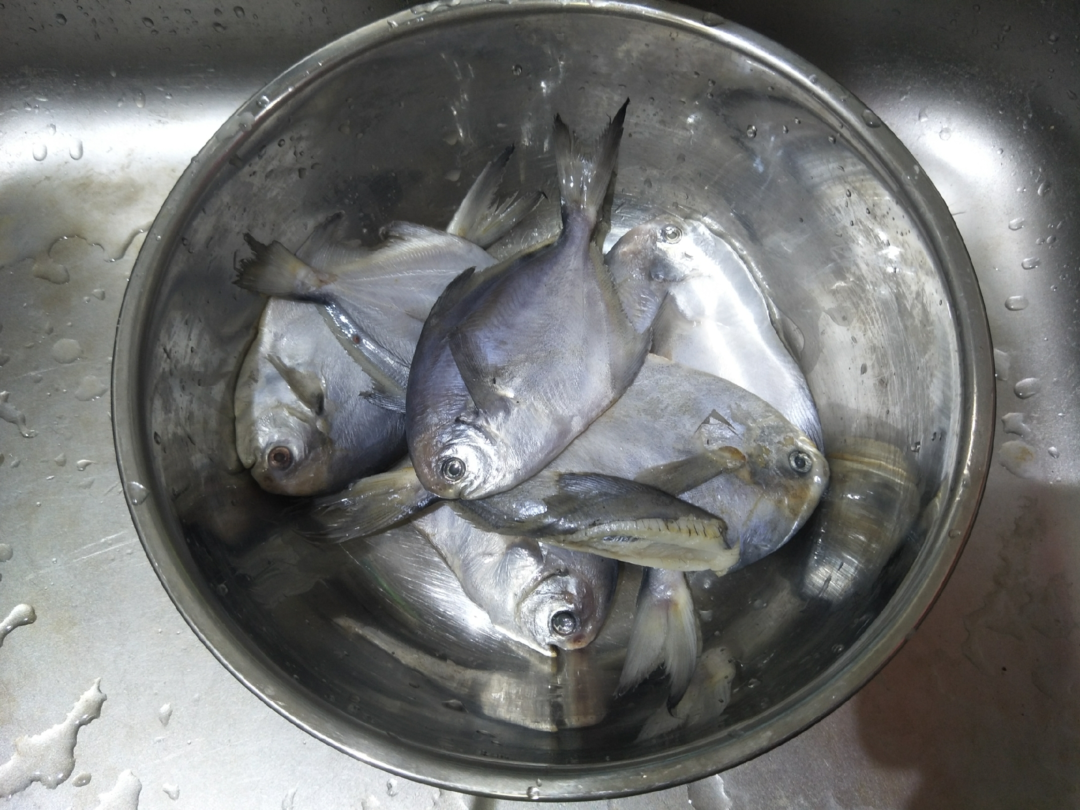 风干小鱼鱼怎么做法最好吃,秋天鱼怎么做好吃又下饭