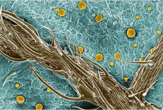 绉戠爺澹佺焊,绉戠爺浜虹殑鏂板勾澹佺焊