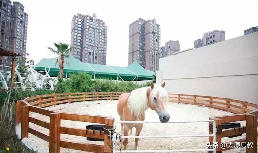 北中环以北规划图,北中环未来发展