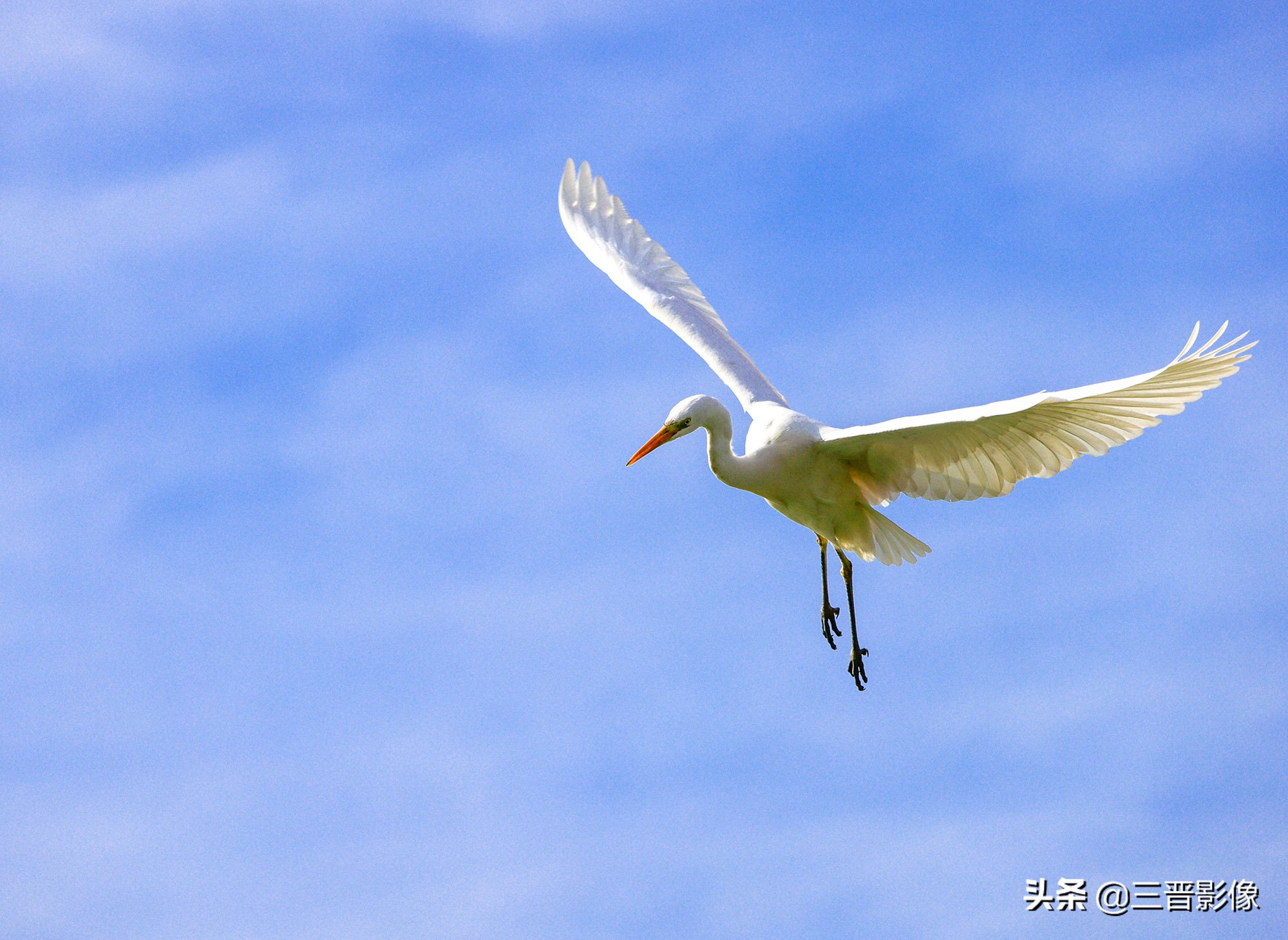 佳能r5转接佳能ef50l拍摄的作品,佳能r5转接ef镜头感觉没有5d4清晰