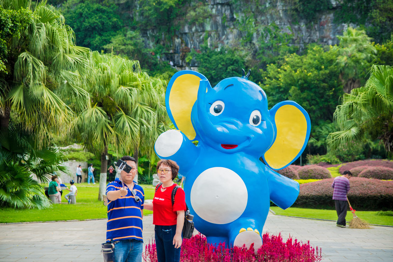 小学课本象鼻山照片,小学课本上的象鼻山图片