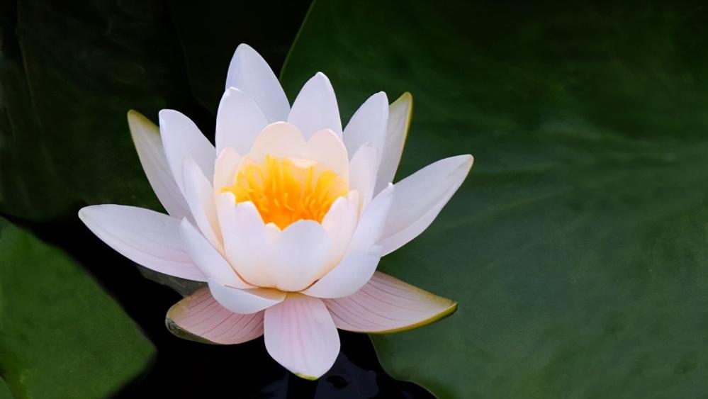 想搞定一个心爱的男人要怎么相处,如何搞定一个感情不随便的男人