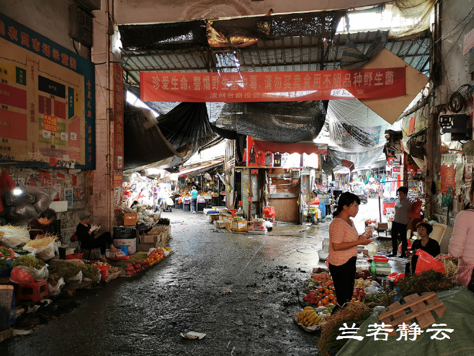 福建漳州4：闲逛角美“同安老街”