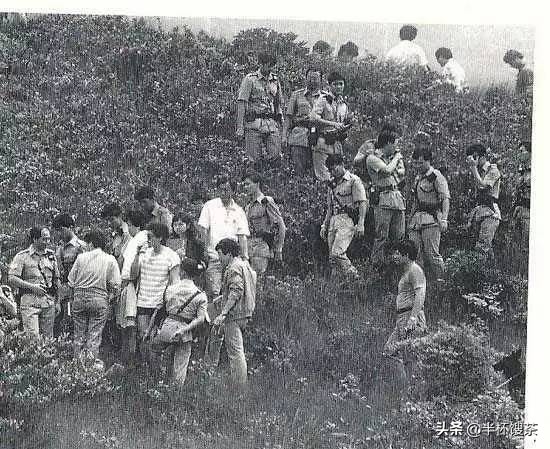烟云江湖历史真相,烟雨江湖事件