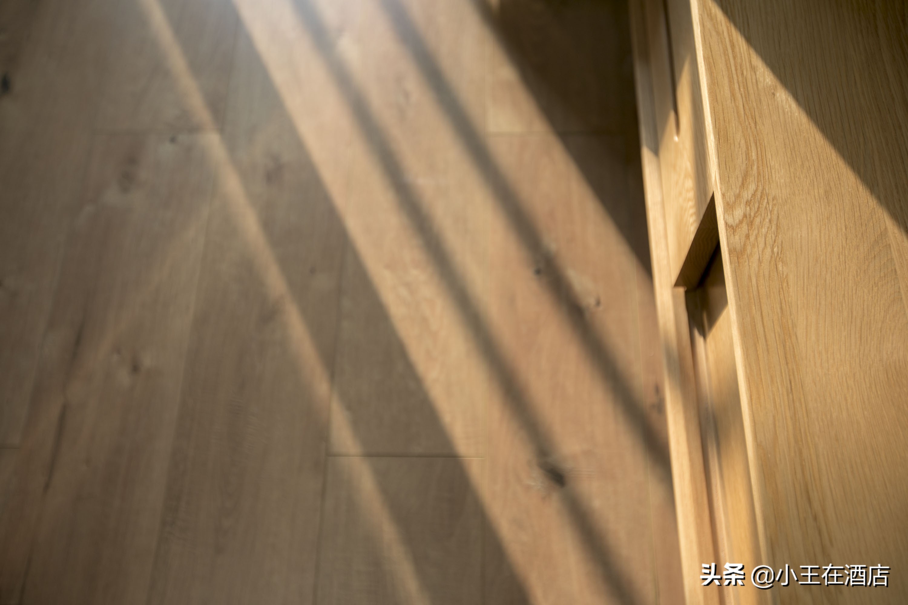 单体酒店和连锁酒店优劣势对比图,中端酒店发展趋势