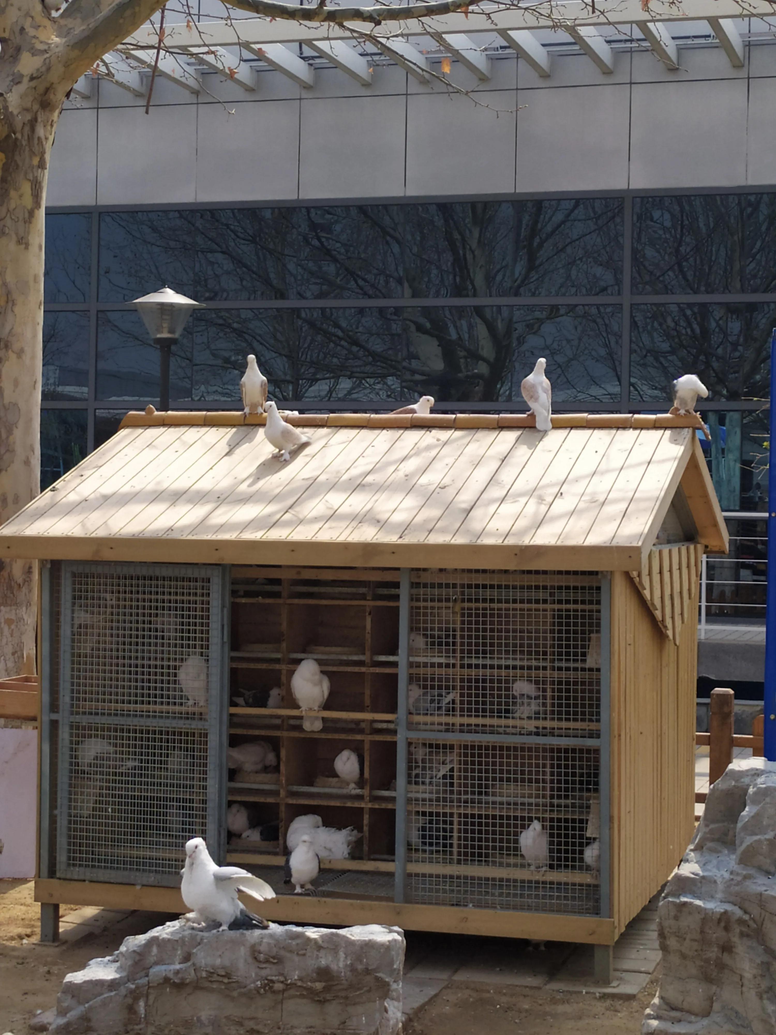 东方时尚驾校微博,东方时尚驾校相关视频