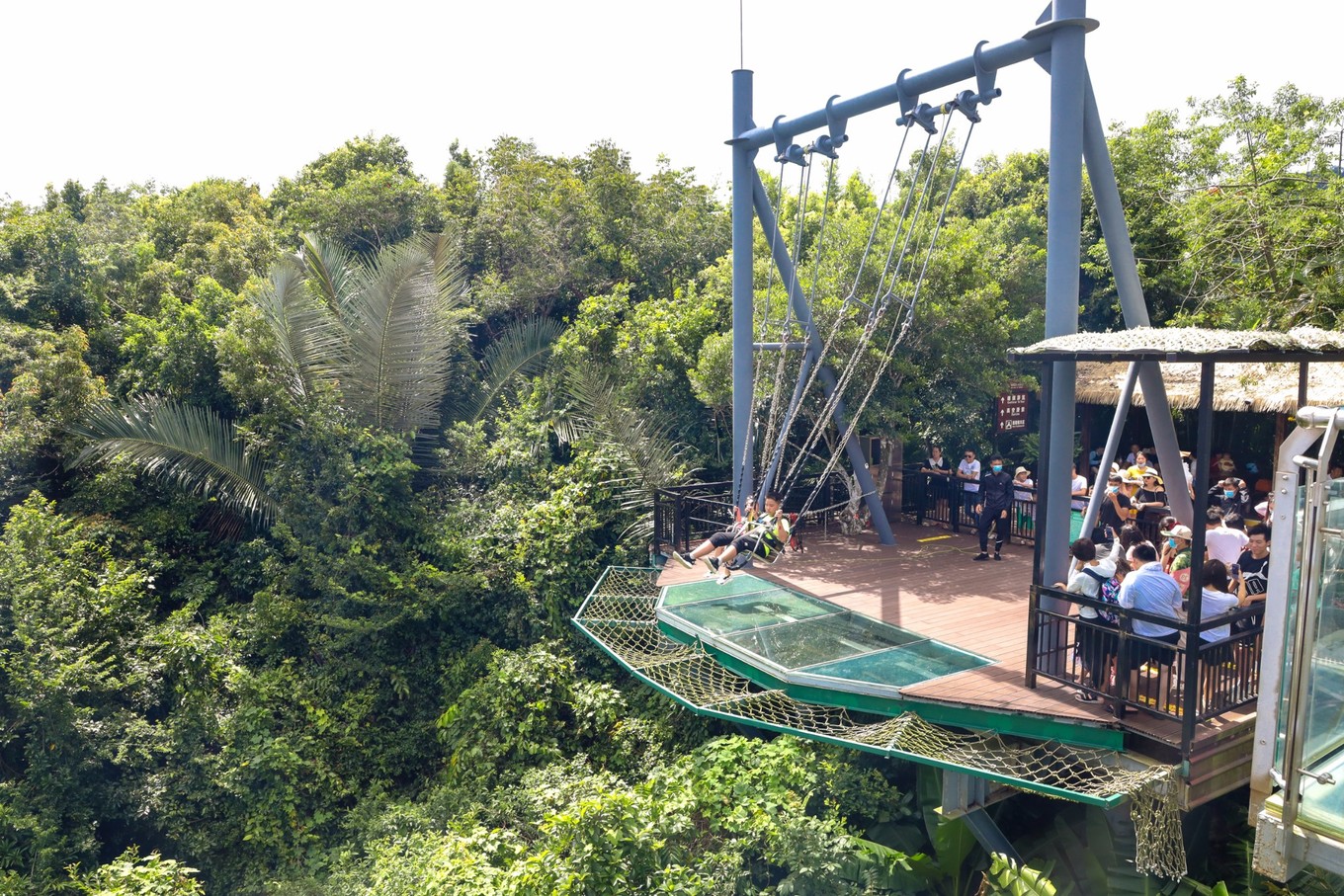 呀诺达雨林探险是什么,三亚呀诺达雨林正规吗