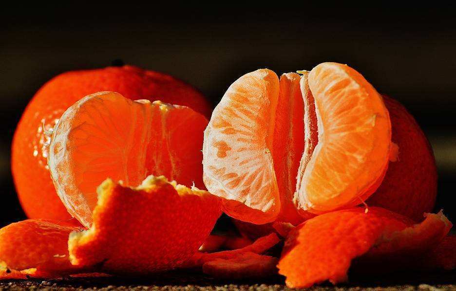 橘子皮利用,橘子皮怎么利用来对付狗子