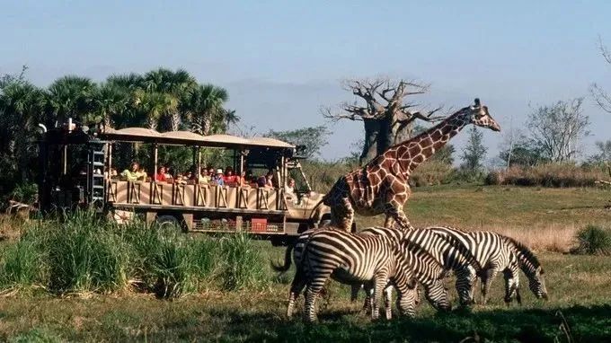 奥兰多主题公园,世界游乐场之都奥兰多