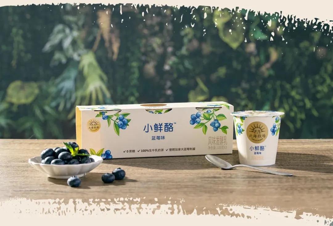 今日鲜奶铺鲜牛奶怎么样,今日鲜奶铺和南山鲜奶铺的区别