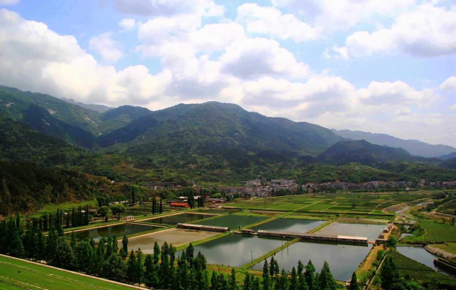 鏉庡嫞鏁呴噷,鍗庡枽鏁呴噷