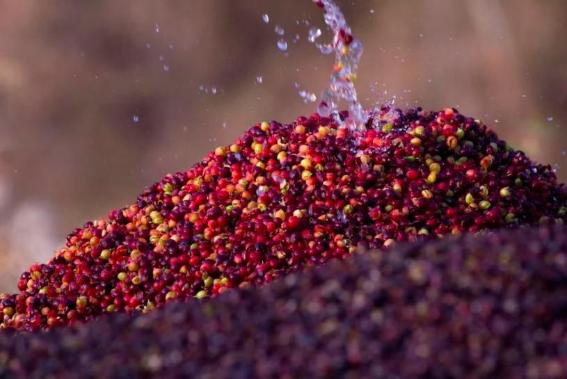 星巴克里的各款咖啡,你不知道的星巴克好喝的咖啡