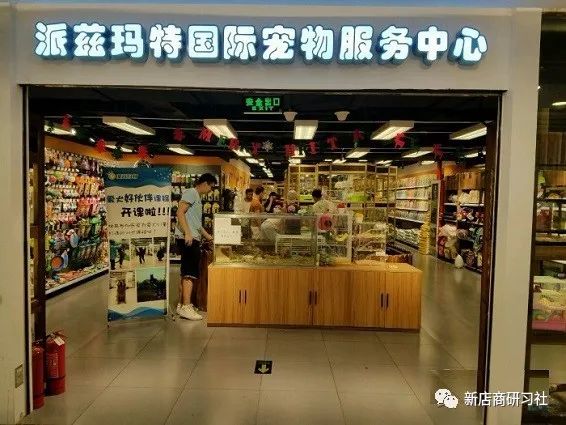 猫奴为什么越来越好,猫奴为什么越来越多