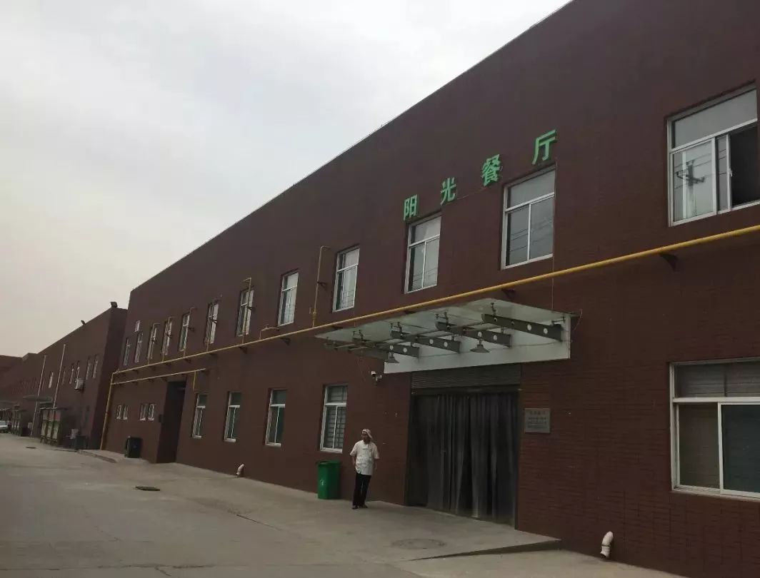 在培华，我4年胖了10斤！食堂是减肥路上最大的绊脚石