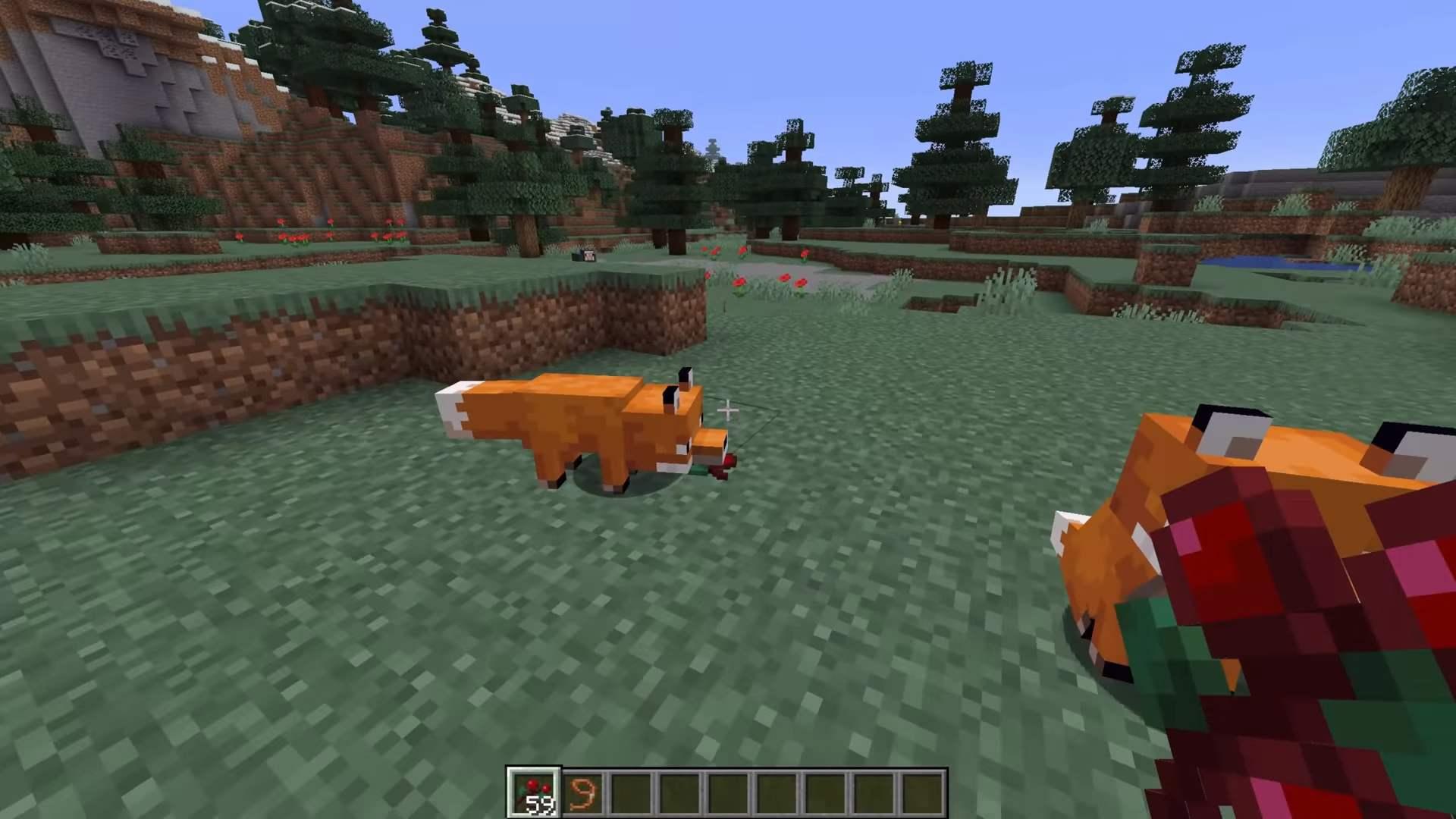 我的世界狐狸喜欢什么地方,狐狸特性