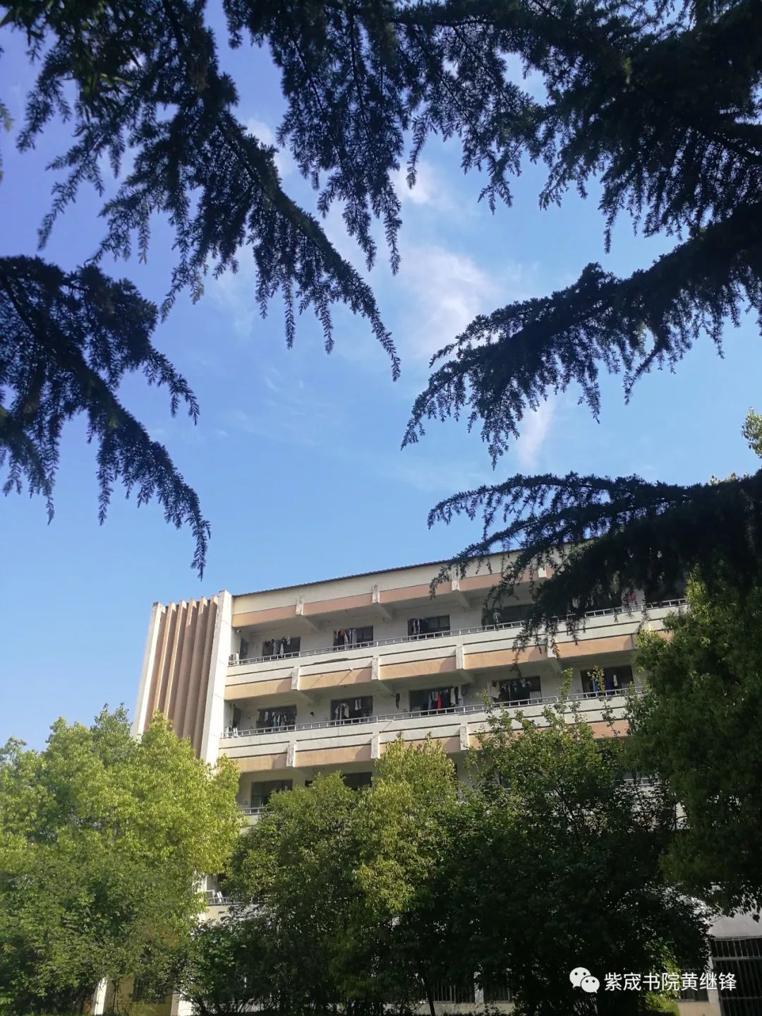 徐州三十六中图文,徐州三十六中