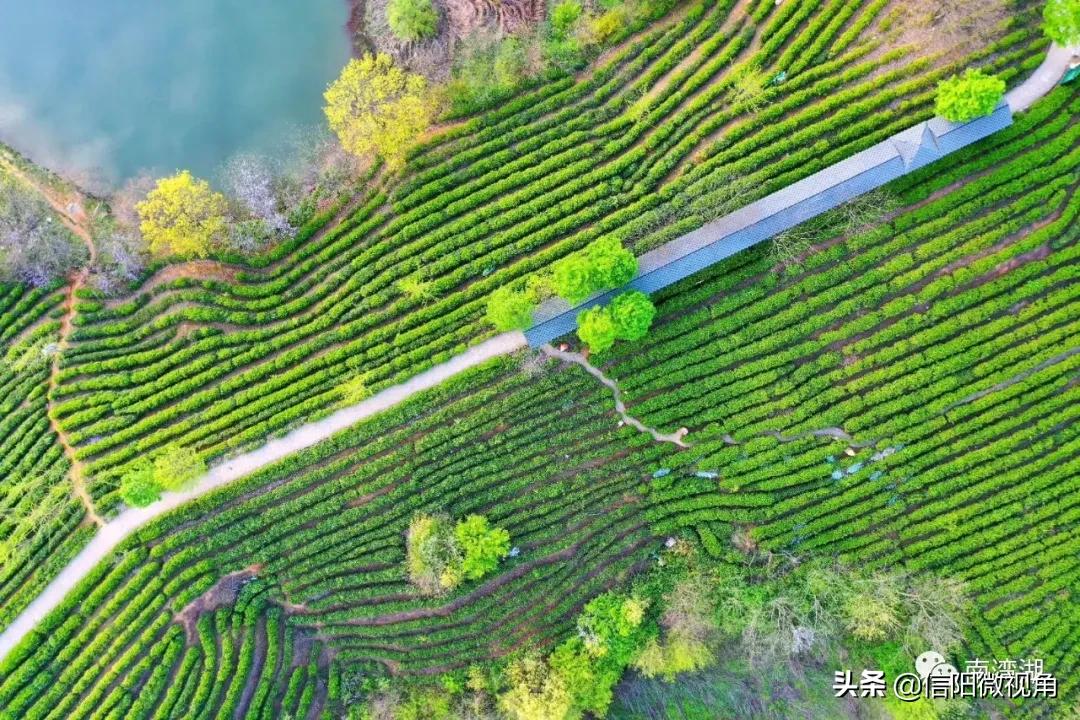 南湾湖有多美,南湾湖空中游览