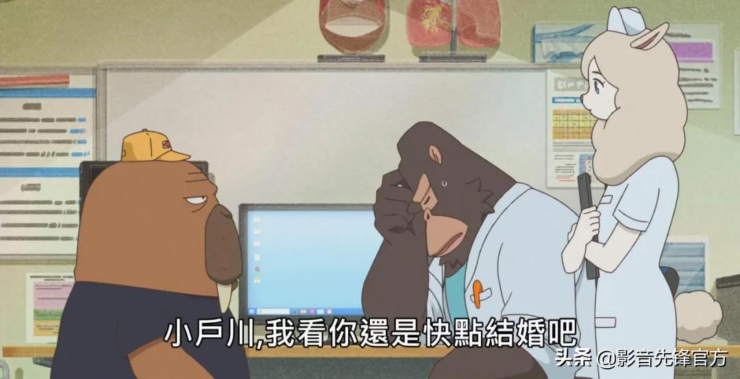 黑马新番推荐,这才是成年人该看的动漫