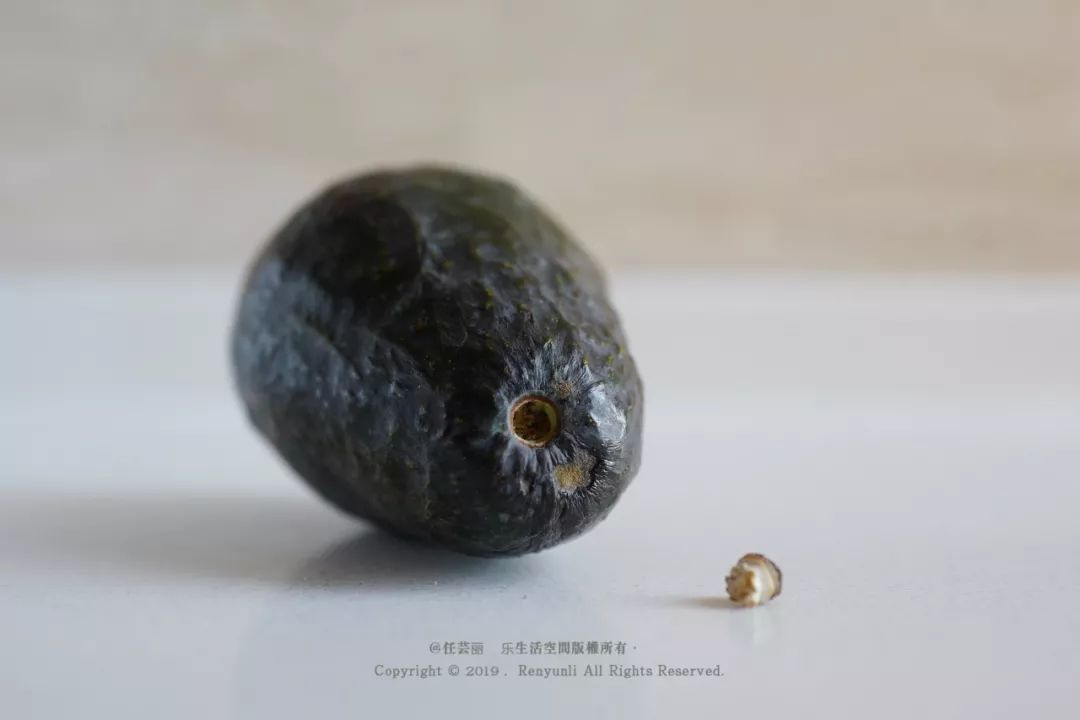 牛油果团子|用这颗绿色*榴弹手**炸掉一切沉闷