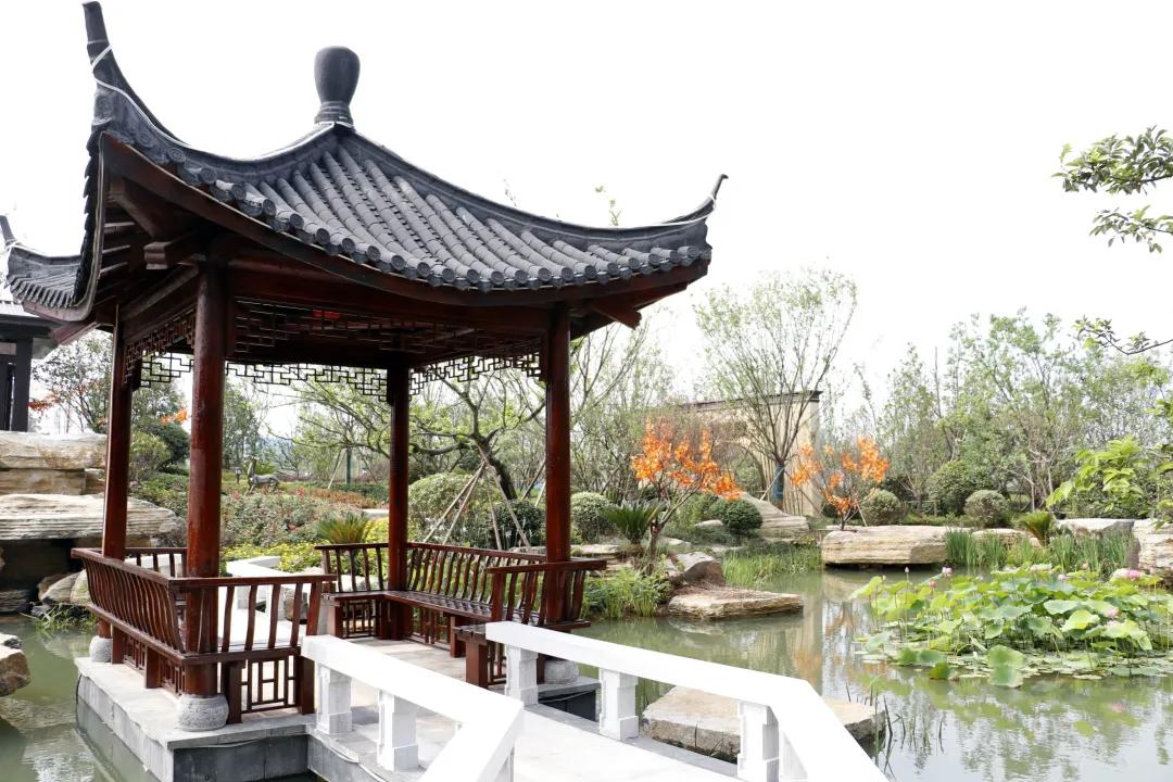 滁州高端酒店自助,滁州高档型酒店推荐