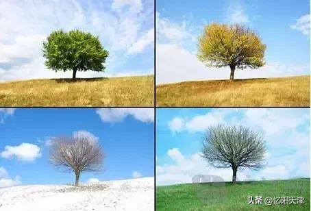 小学英语单词汇总大全人教版,小学英语单词汇总表人教版新起点