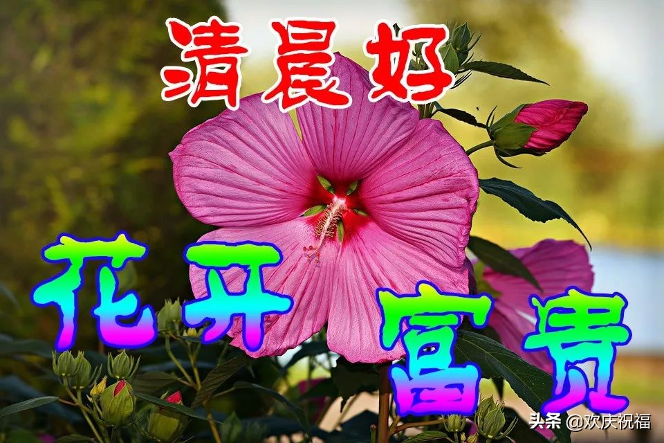 特别漂亮的早上好图片清晨问候语,早上好清晨的问候祝福语漂亮图片