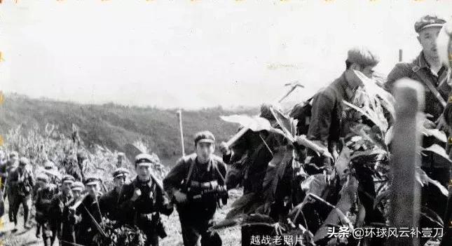 罗援将军最新一集视频,罗援将军纪录片完整版