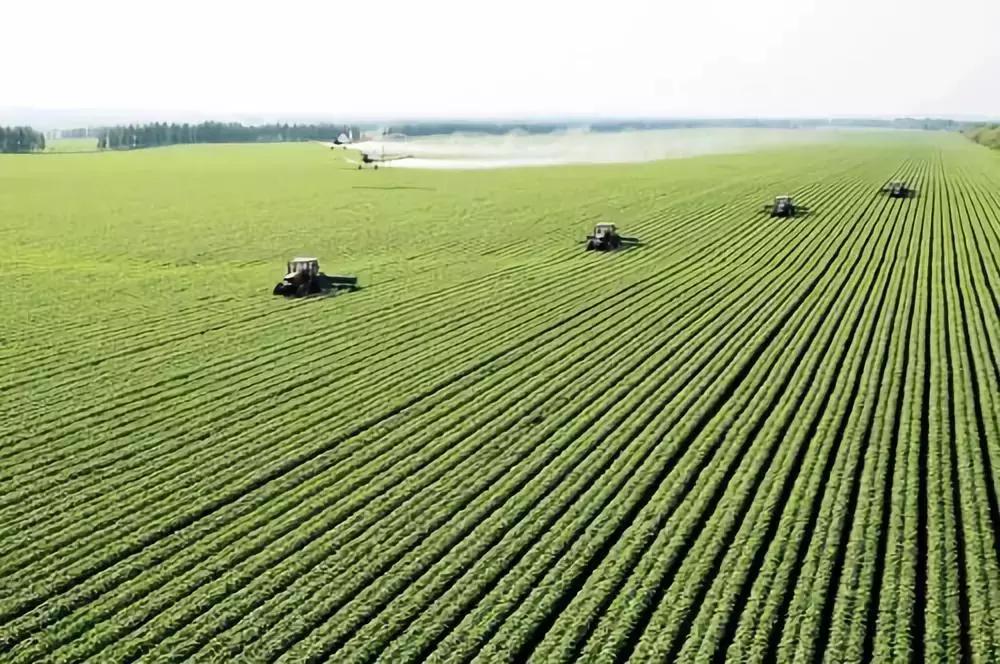 化肥为什么被称为“土地*片鸦**”？如何实现化肥使用量零增长行动？