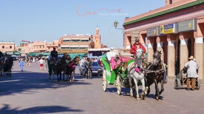 边逛边看感受摩洛哥马拉喀什风情,摩洛哥之旅之马拉喀什