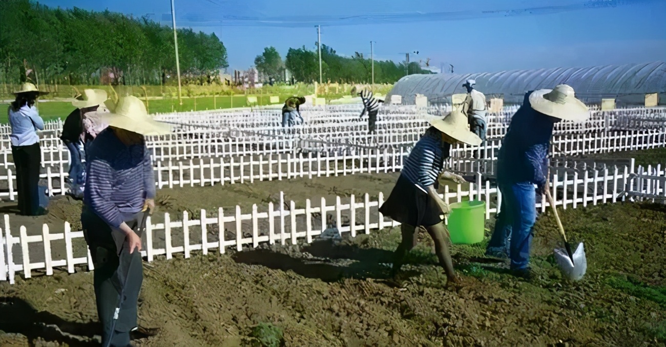 如何打造数字化农业示范基地,数字农业基地建设