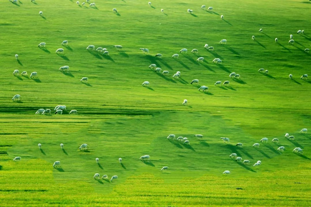 中国最美的一线城市非常漂亮,值得旅游的四线城市
