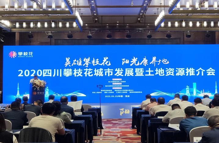 攀枝花市仁和区未来发展,攀枝花仁和发展规划