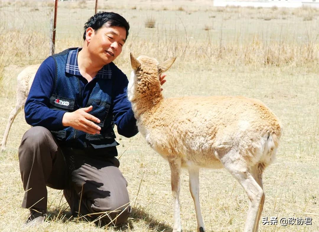 这位老*党**员镜头下的青海，美出天际