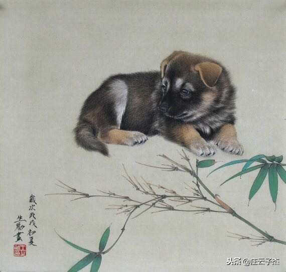 性格互补的生肖配对有哪些,什么生肖配对运气好