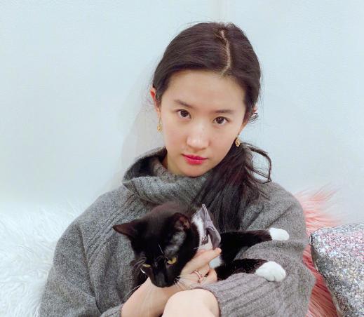 发腮比发福还可怕下一句,发腮和变胖的区别