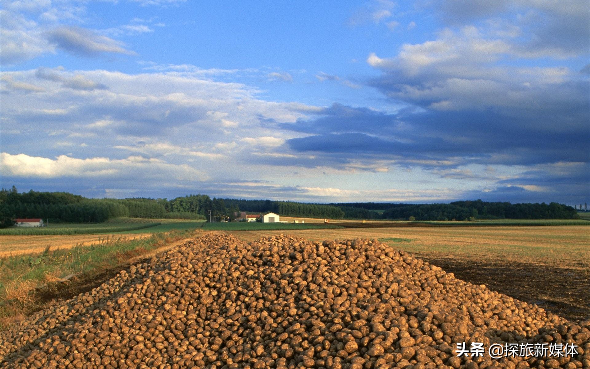 甘肃为什么最富,甘肃哪些地方富