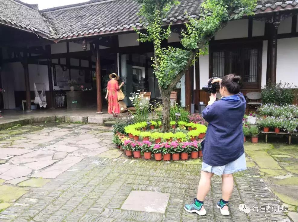 青城山十大顶级神仙民宿,藏在青城山里民宿