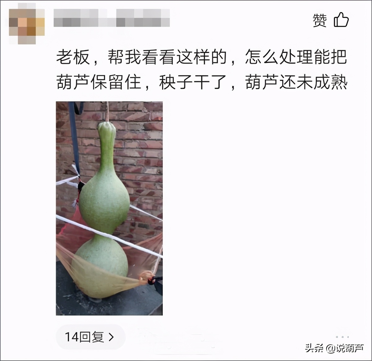 文玩葫芦怎么保养不会裂,文玩葫芦把玩有讲究吗