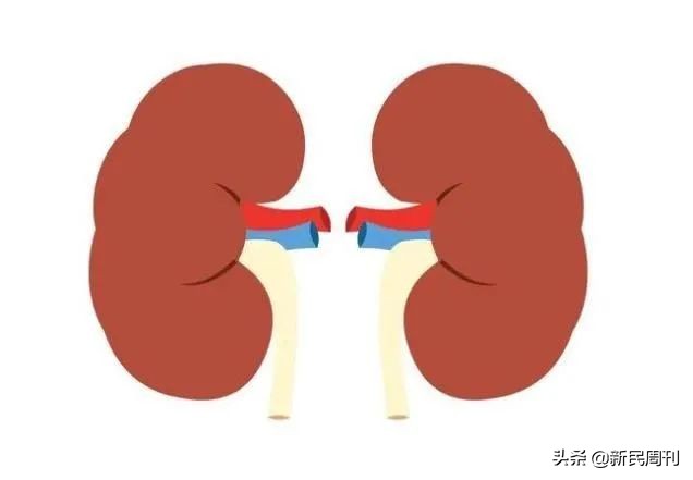 海狗丸是不是比六味地黄丸还厉害,海狗丸都是哪几种药组成