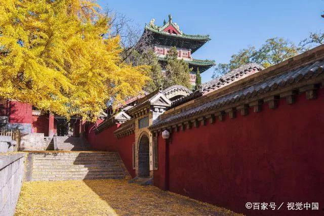 嵩山少林寺塔沟武校,嵩山少林寺文武学校