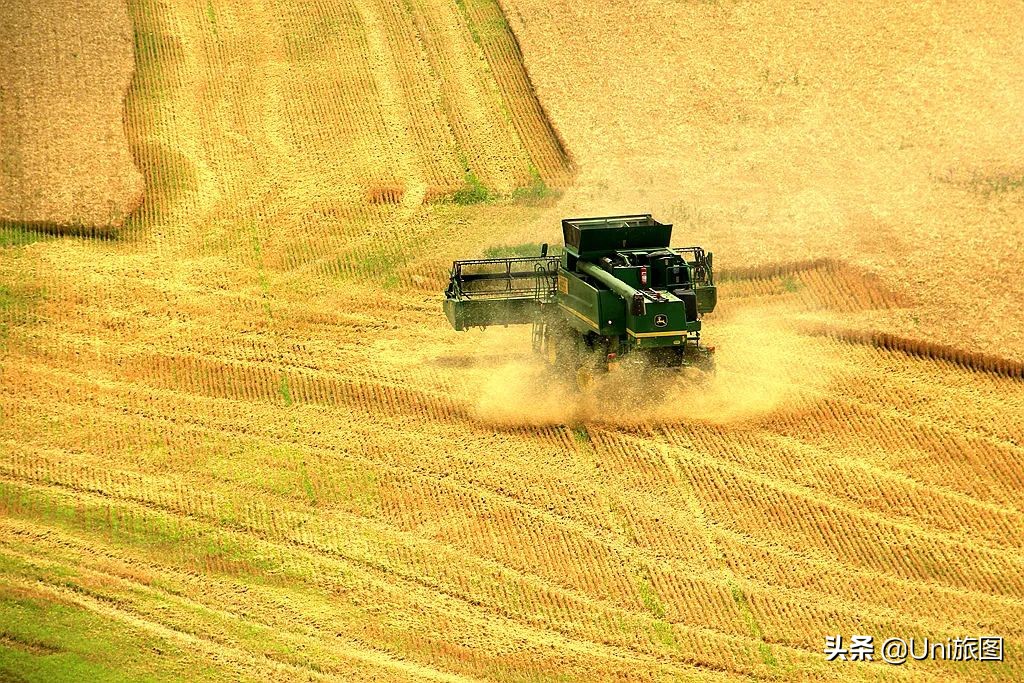 最幽静古韵江南唯美夜景风景,带你看夏日高原怡人的风景