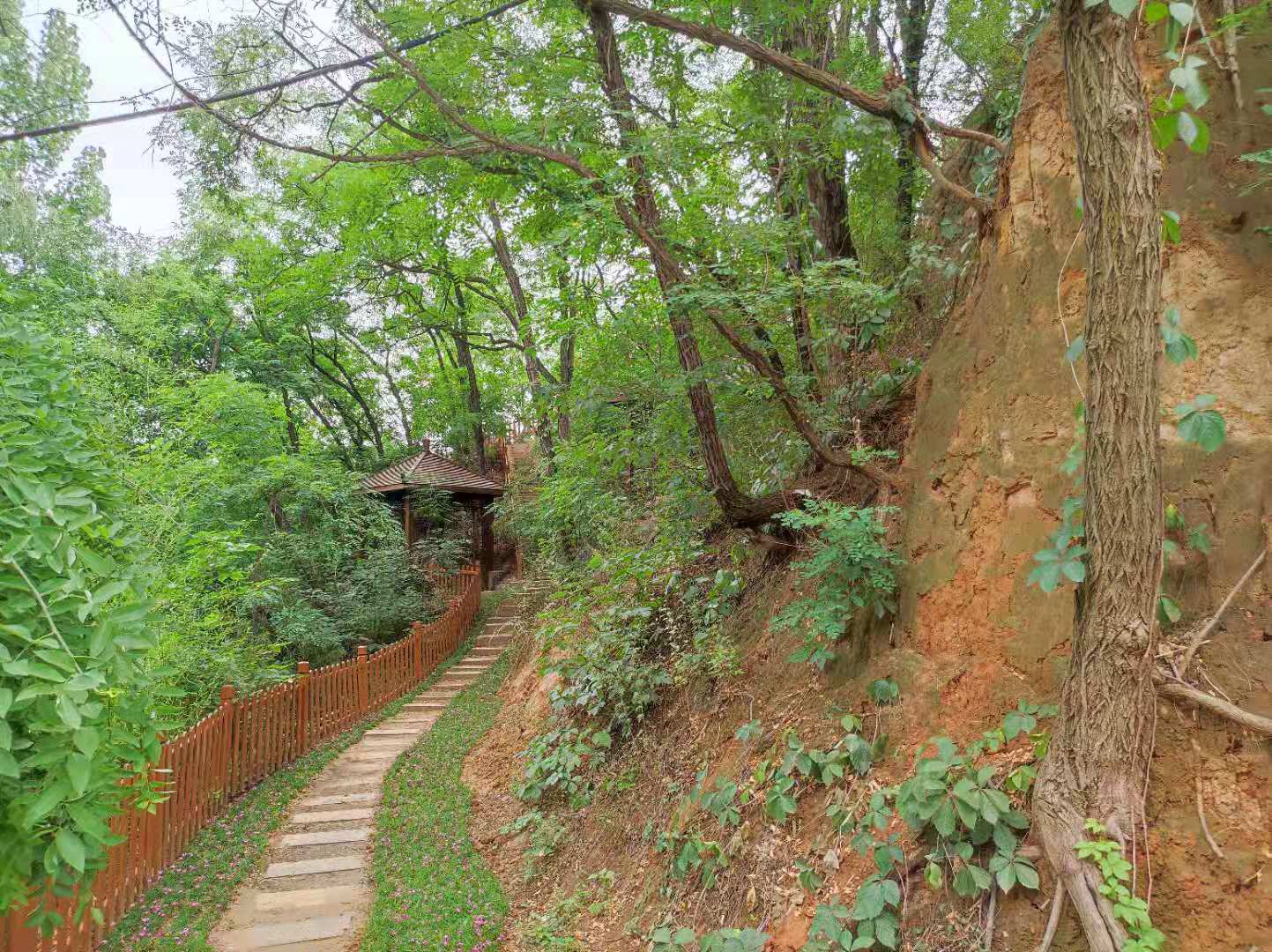 老赵探访,老赵在路上最新视频