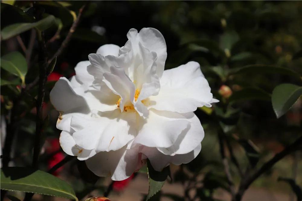 瞧!这花花世界谁不爱