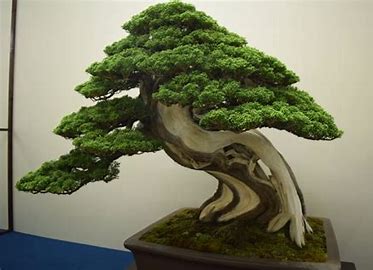 散文|汗漫:两个诗人