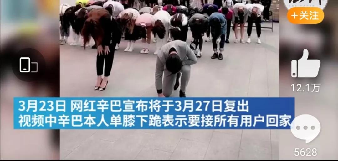 知名网红辛巴下跪高调复出 (辛巴复出单膝下跪视频)